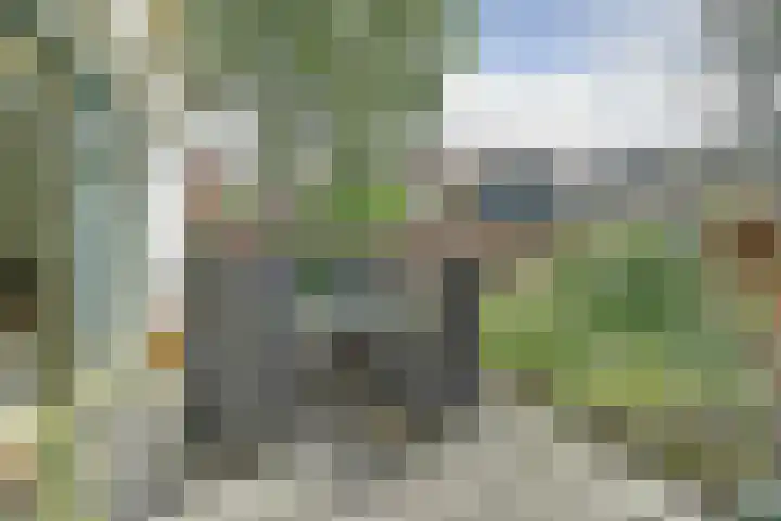 Boomgaard 4 Zuid-Scharwoude thumbnail 30