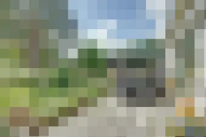 Boomgaard 4 Zuid-Scharwoude thumbnail 31