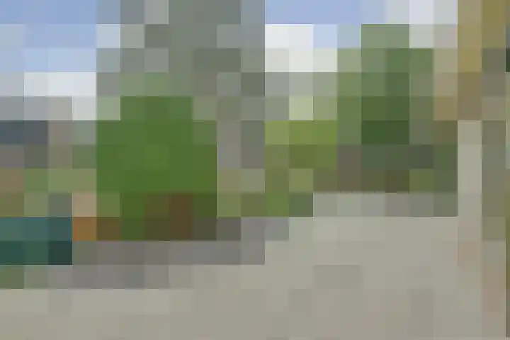 Boomgaard 4 Zuid-Scharwoude thumbnail 32