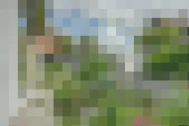 Boomgaard 4 Zuid-Scharwoude thumbnail 33