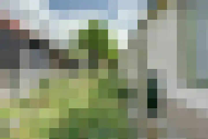 Boomgaard 4 Zuid-Scharwoude thumbnail 34