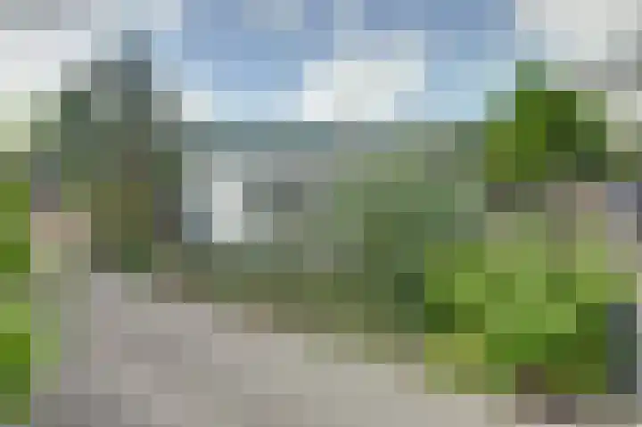 Boomgaard 4 Zuid-Scharwoude thumbnail 35
