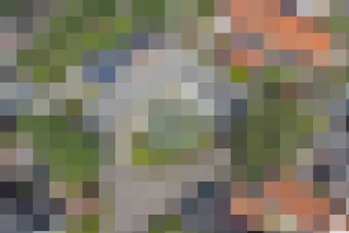 Boomgaard 4 Zuid-Scharwoude thumbnail 36