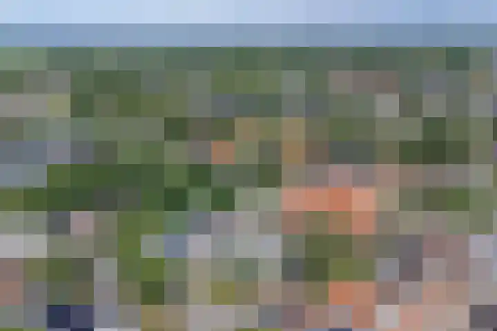 Boomgaard 4 Zuid-Scharwoude thumbnail 37