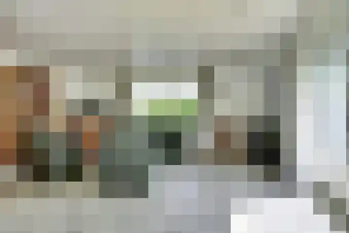 Boomgaard 4 Zuid-Scharwoude thumbnail 7
