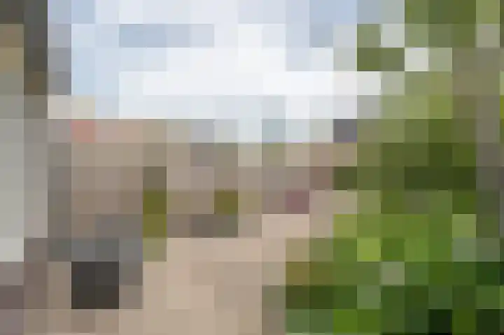 Boomgaard 42 Nieuw-Beijerland thumbnail 39