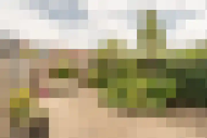 Boomgaard 42 Nieuw-Beijerland thumbnail 4
