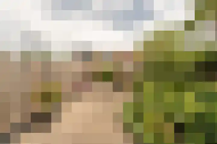 Boomgaard 42 Nieuw-Beijerland thumbnail 40