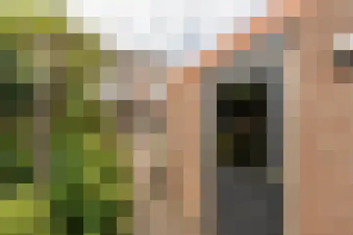 Boomgaard 42 Nieuw-Beijerland thumbnail 43