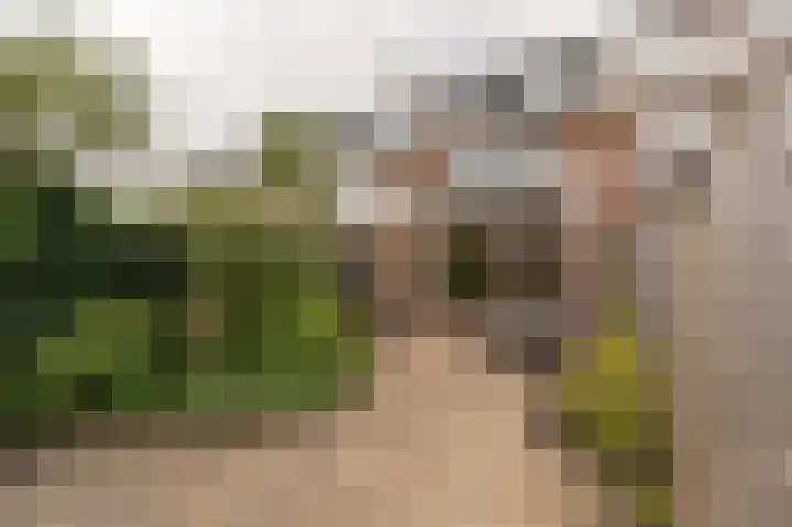 Boomgaard 42 Nieuw-Beijerland thumbnail 45