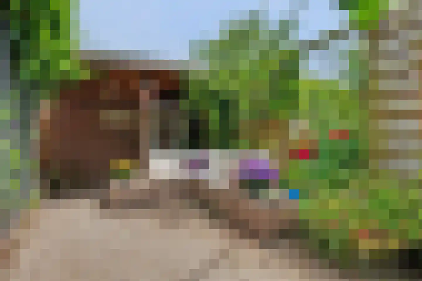 Boomgaard 43 Nieuw-Beijerland thumbnail 34