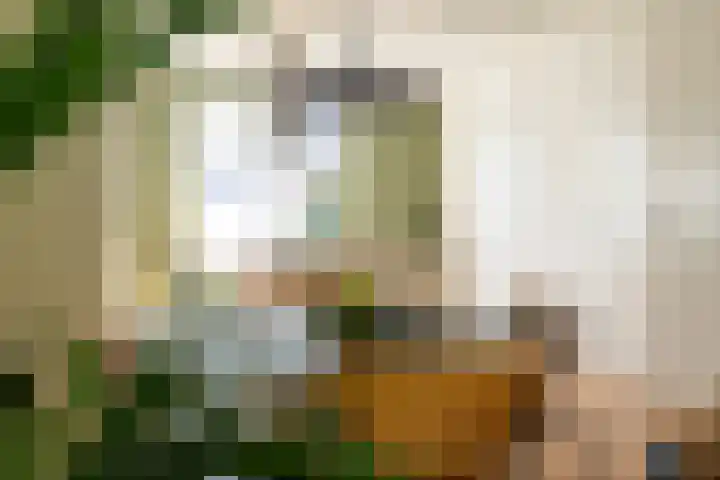 Boomgaard 43 Nieuwendijk thumbnail 11