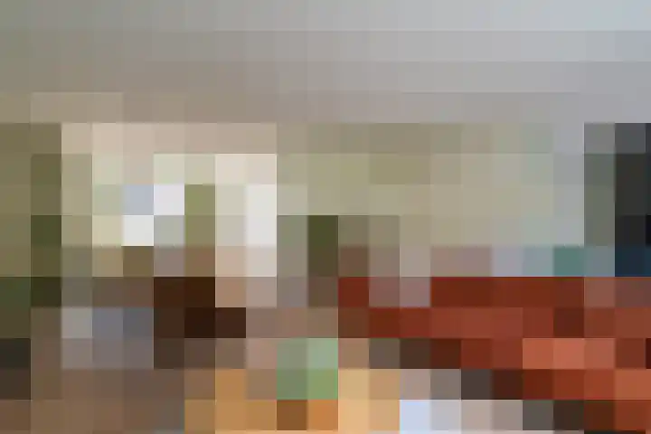 Boomgaard 43 Nieuwendijk thumbnail 13