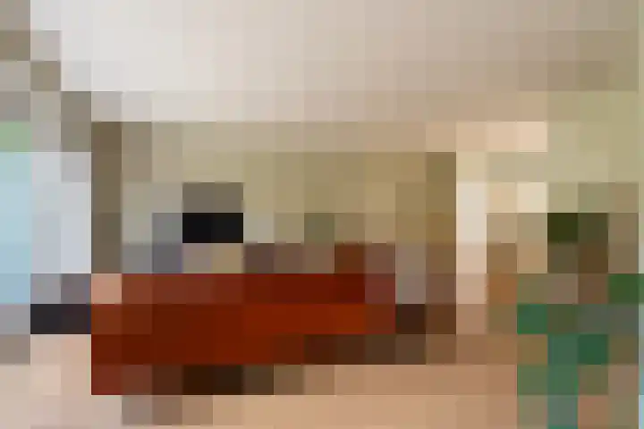 Boomgaard 43 Nieuwendijk thumbnail 14