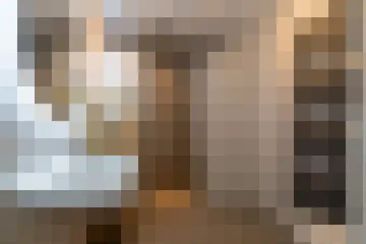 Boomgaard 43 Nieuwendijk thumbnail 26
