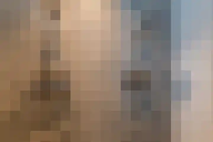 Boomgaard 43 Nieuwendijk thumbnail 27
