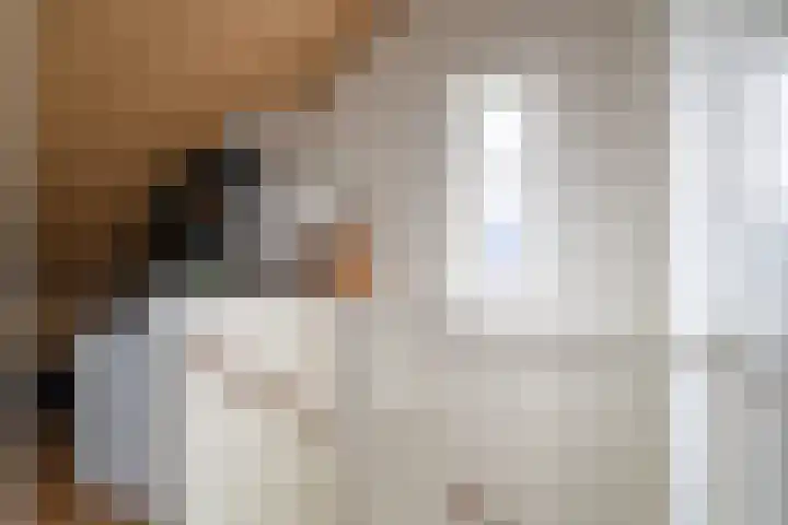 Boomgaard 43 Nieuwendijk thumbnail 29