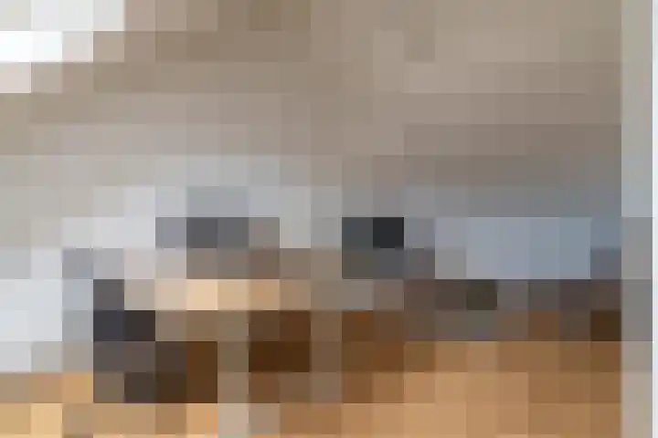 Boomgaard 43 Nieuwendijk thumbnail 31