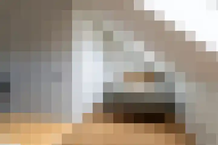 Boomgaard 43 Nieuwendijk thumbnail 32