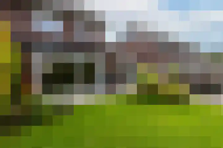 Boomgaard 43 Nieuwendijk thumbnail 33