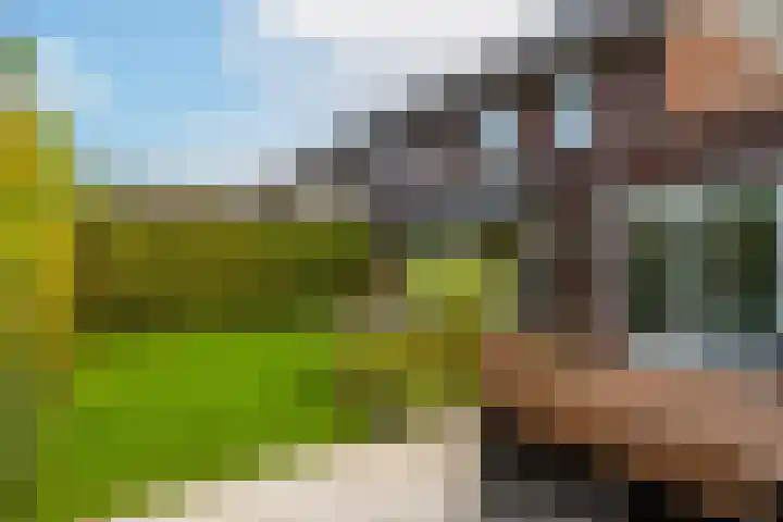 Boomgaard 43 Nieuwendijk thumbnail 34