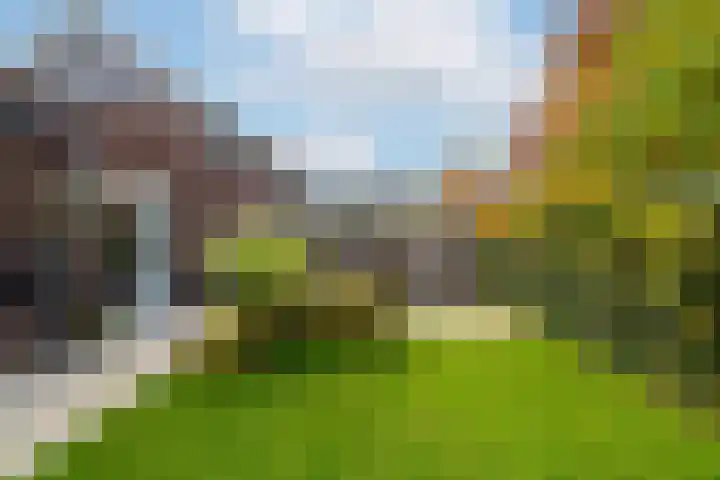 Boomgaard 43 Nieuwendijk thumbnail 35