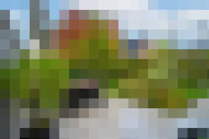 Boomgaard 43 Nieuwendijk thumbnail 36