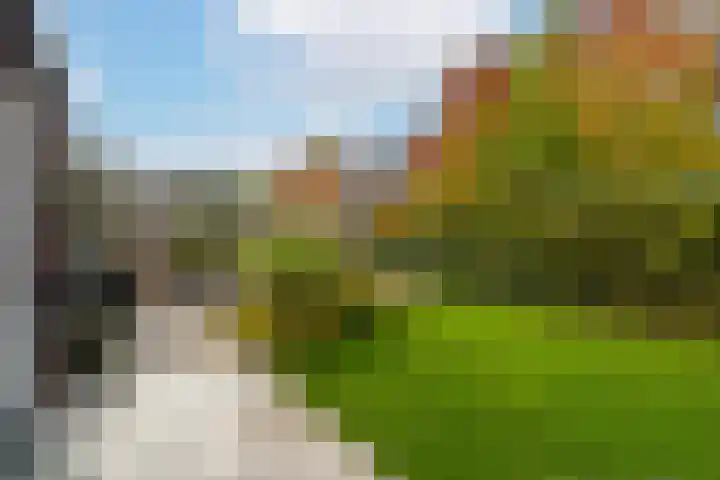 Boomgaard 43 Nieuwendijk thumbnail 37