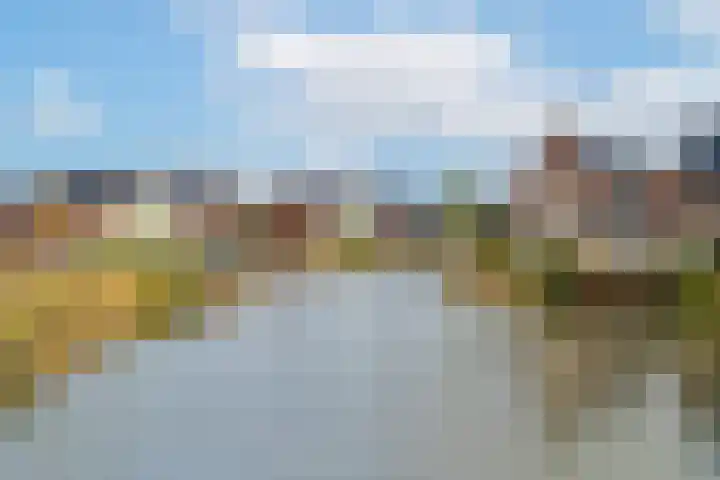 Boomgaard 43 Nieuwendijk thumbnail 38