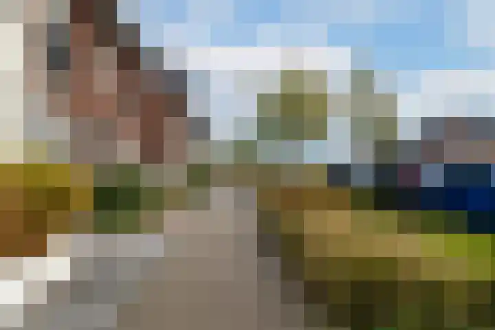 Boomgaard 43 Nieuwendijk thumbnail 39