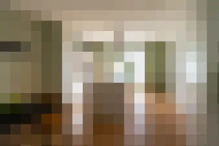 Boomgaard 43 Nieuwendijk thumbnail 6