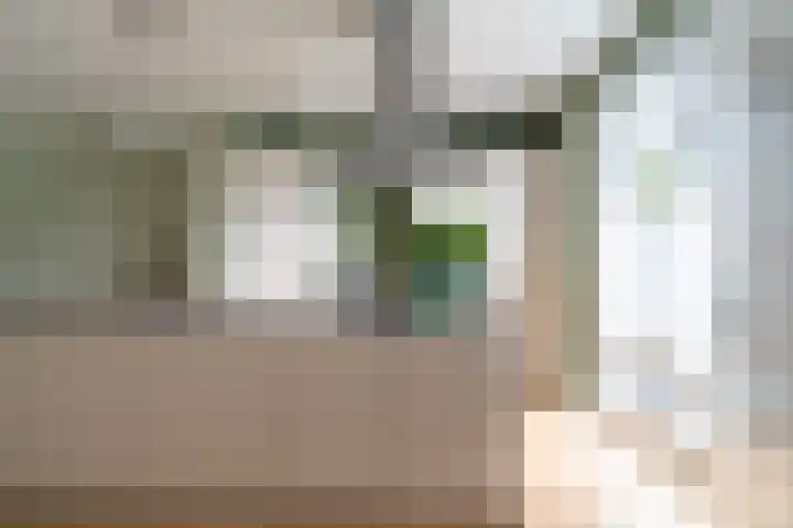 Boomgaard 43 Nieuwendijk thumbnail 7