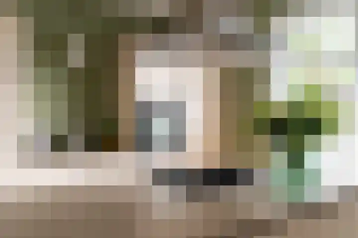 Boomgaard 43 Nieuwendijk thumbnail 8