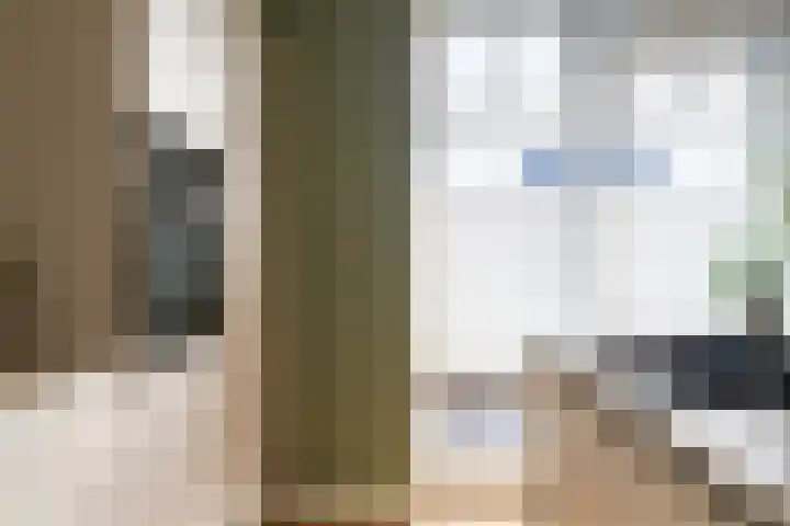 Boomgaard 43 Nieuwendijk thumbnail 9