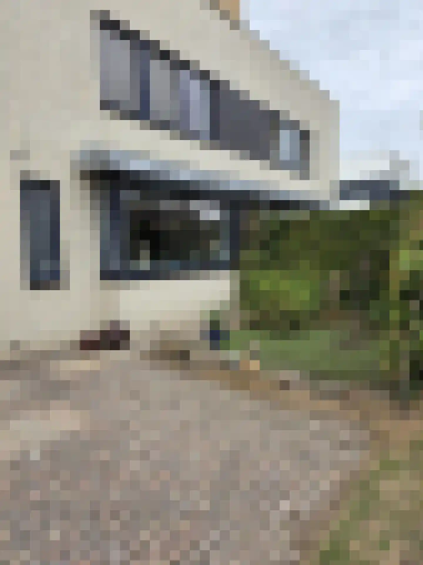 Boomgaard 5 a IJsselstein thumbnail 8