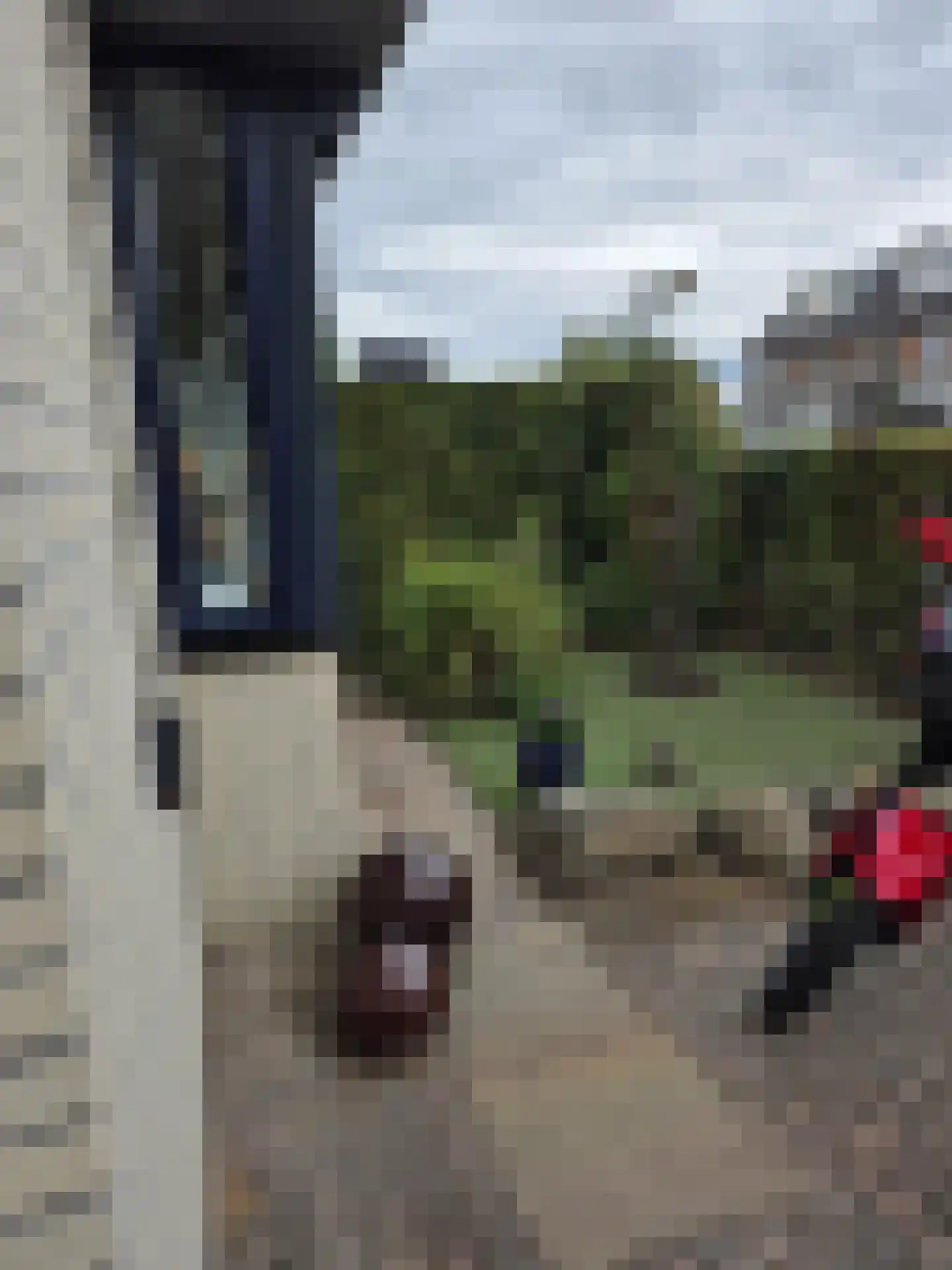Boomgaard 5 IJsselstein thumbnail 11