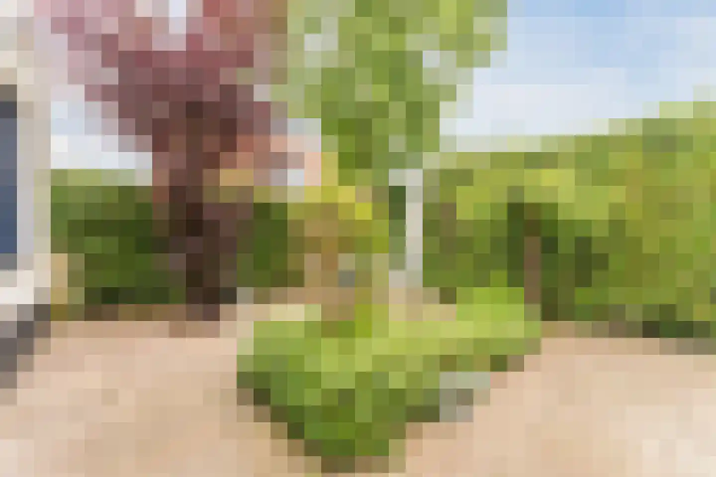 Boomgaard 5 IJsselstein thumbnail 35