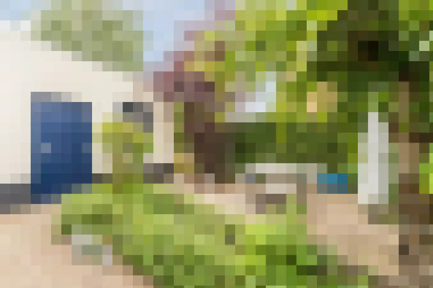 Boomgaard 5 IJsselstein thumbnail 36