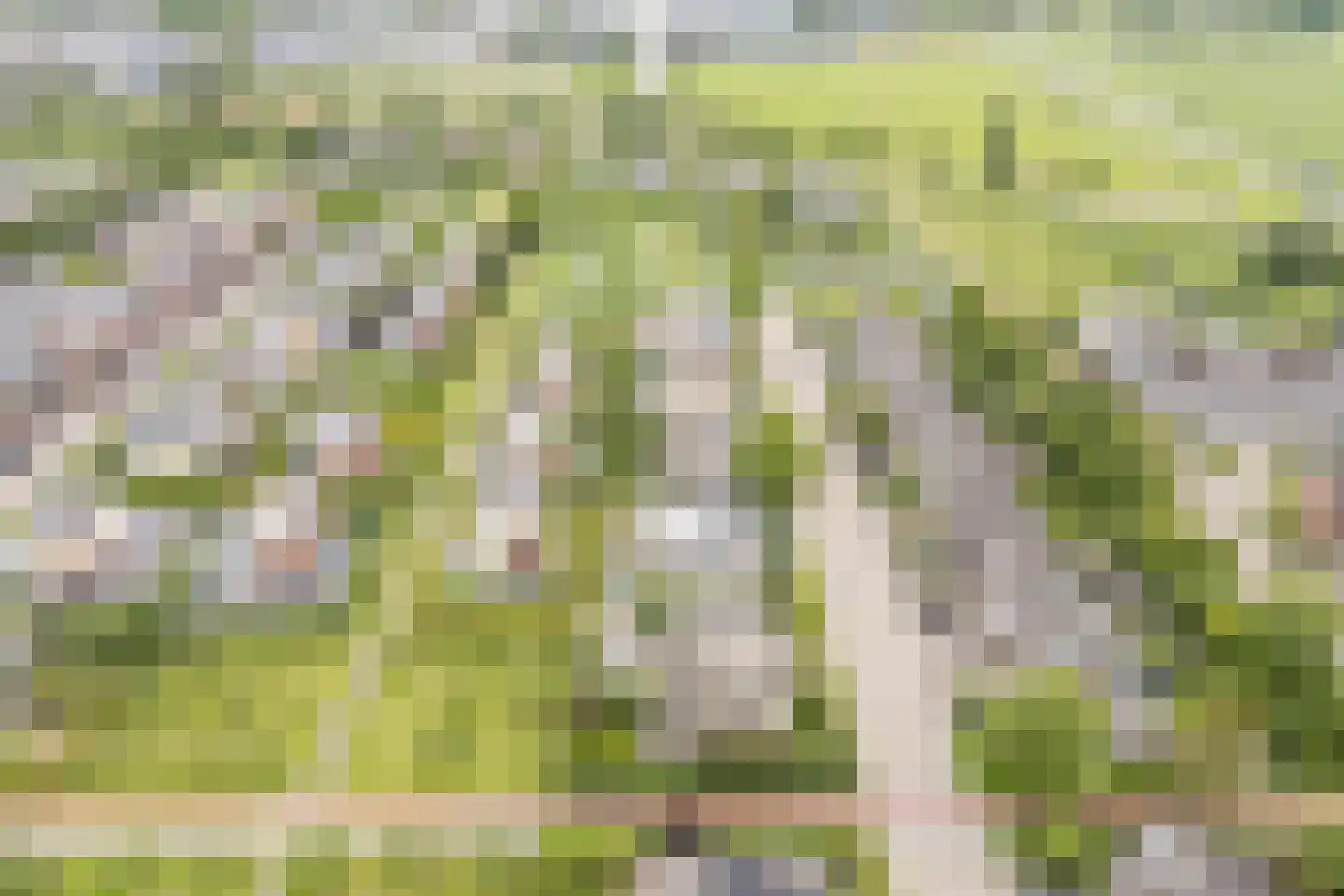 Boomgaard 5 IJsselstein thumbnail 47
