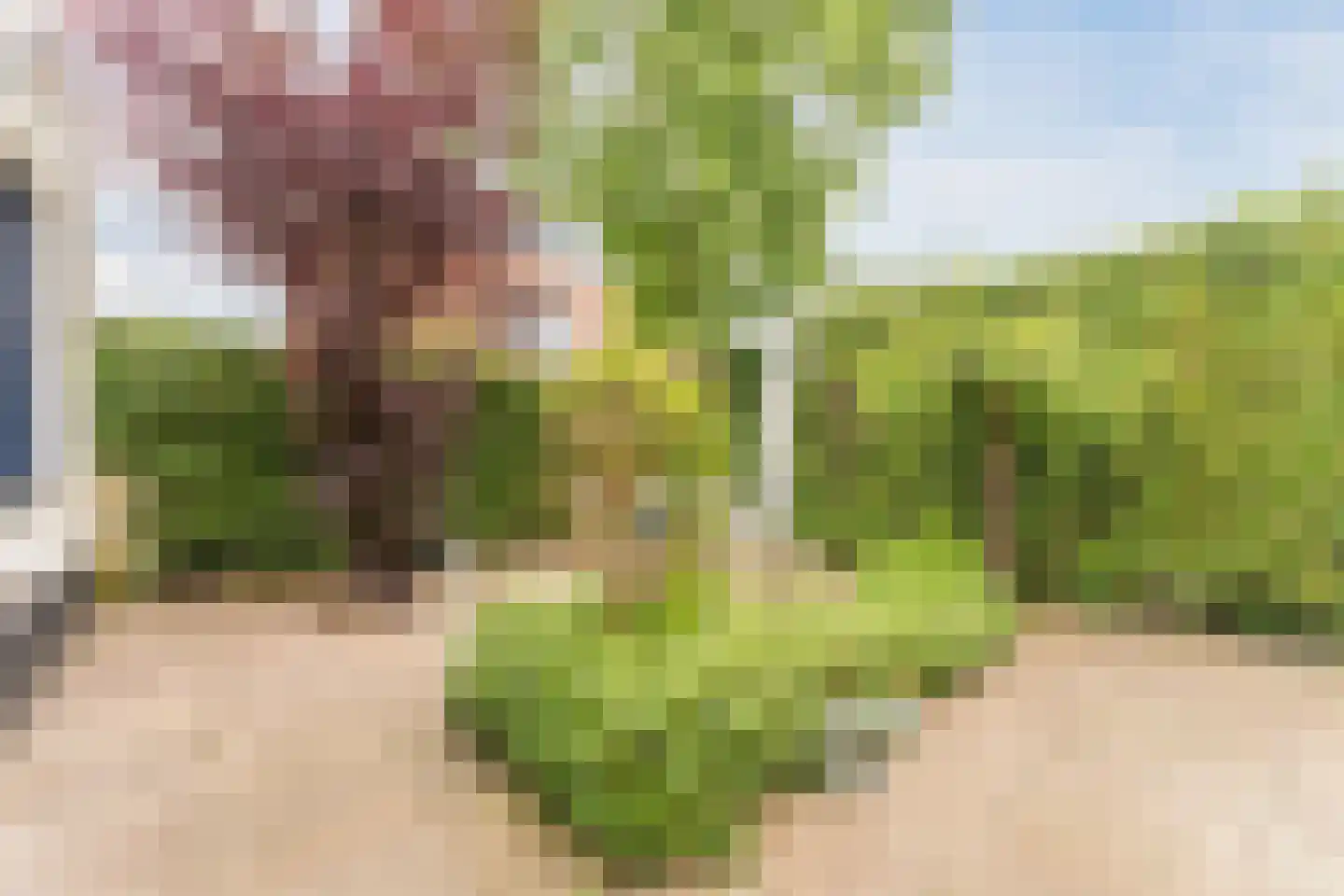 Boomgaard 5 IJsselstein thumbnail 5