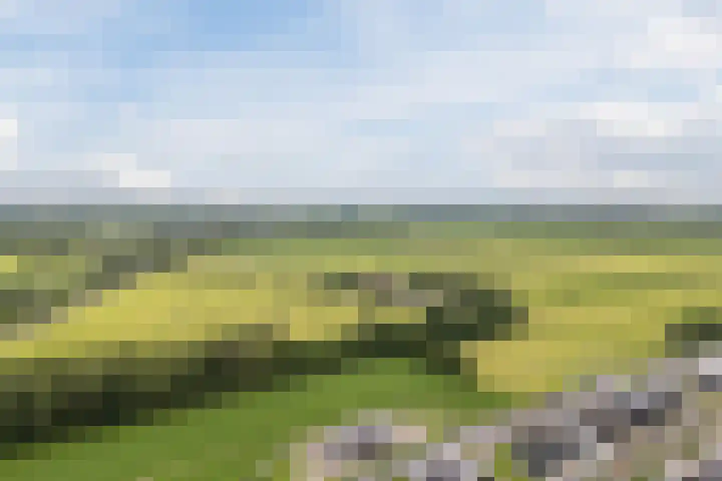 Boomgaard 5 IJsselstein thumbnail 50