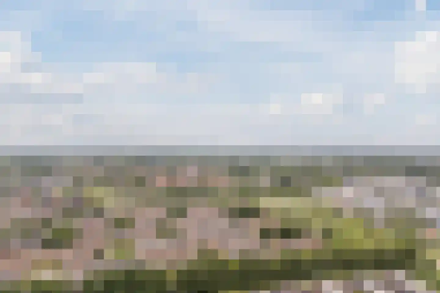 Boomgaard 5 IJsselstein thumbnail 52