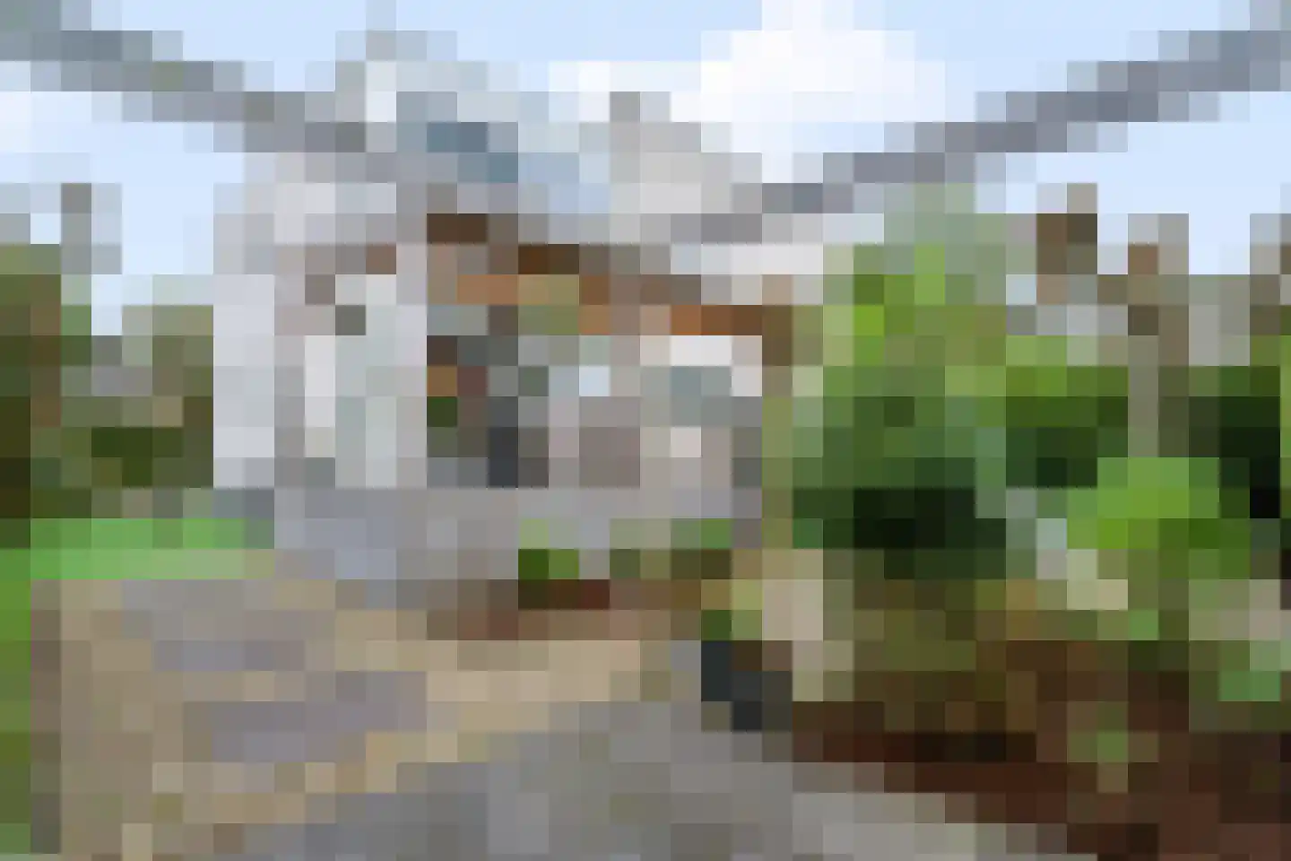 Boomgaard 51 IJsselstein thumbnail 23