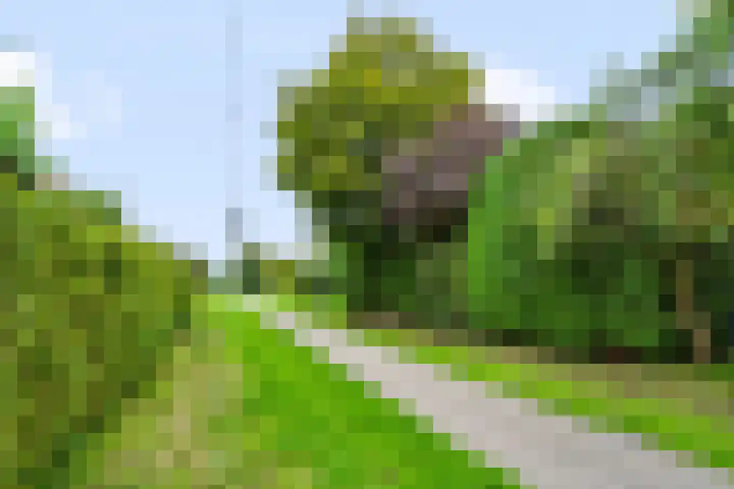 Boomgaard 51 IJsselstein thumbnail 66
