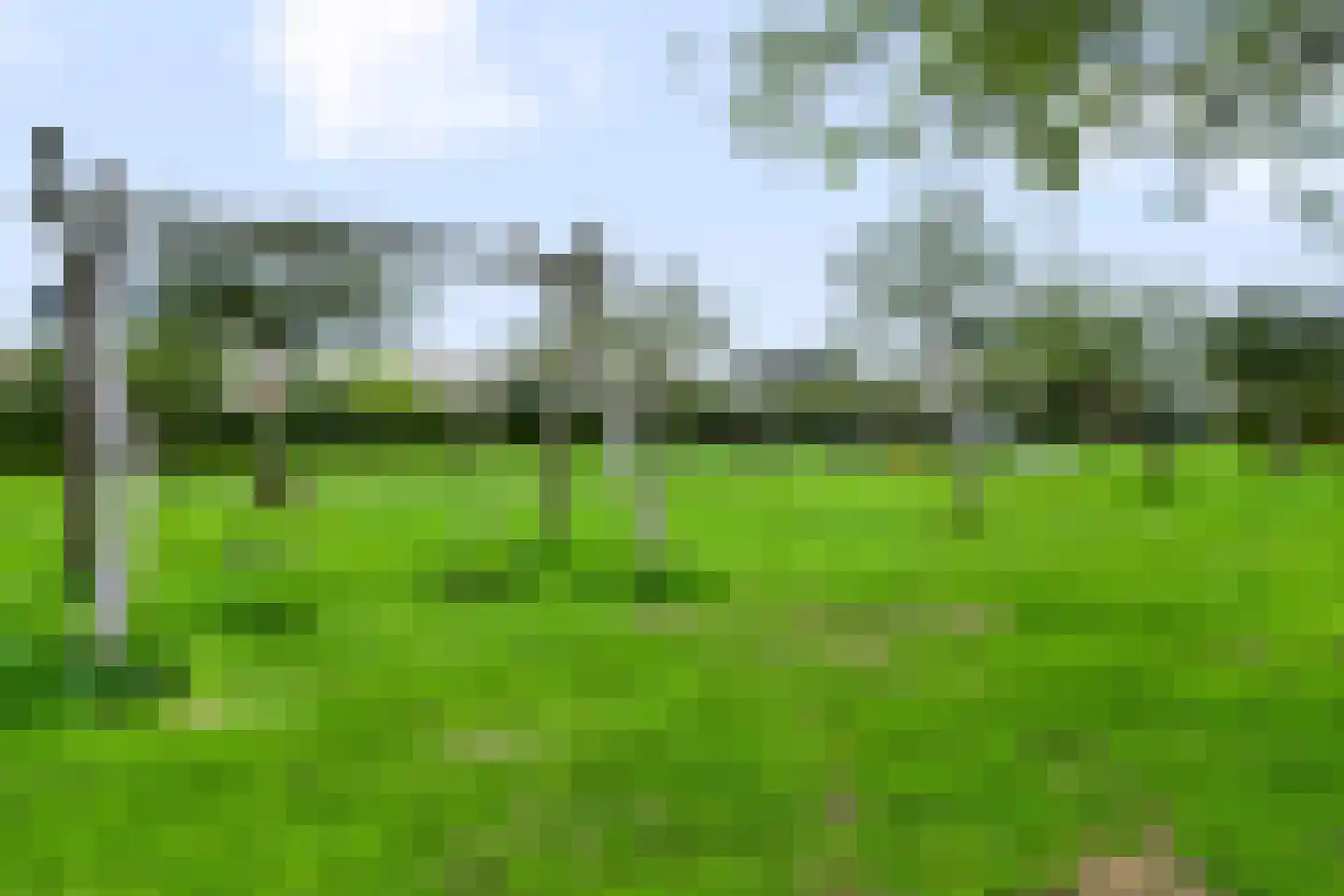 Boomgaard 51 IJsselstein thumbnail 68