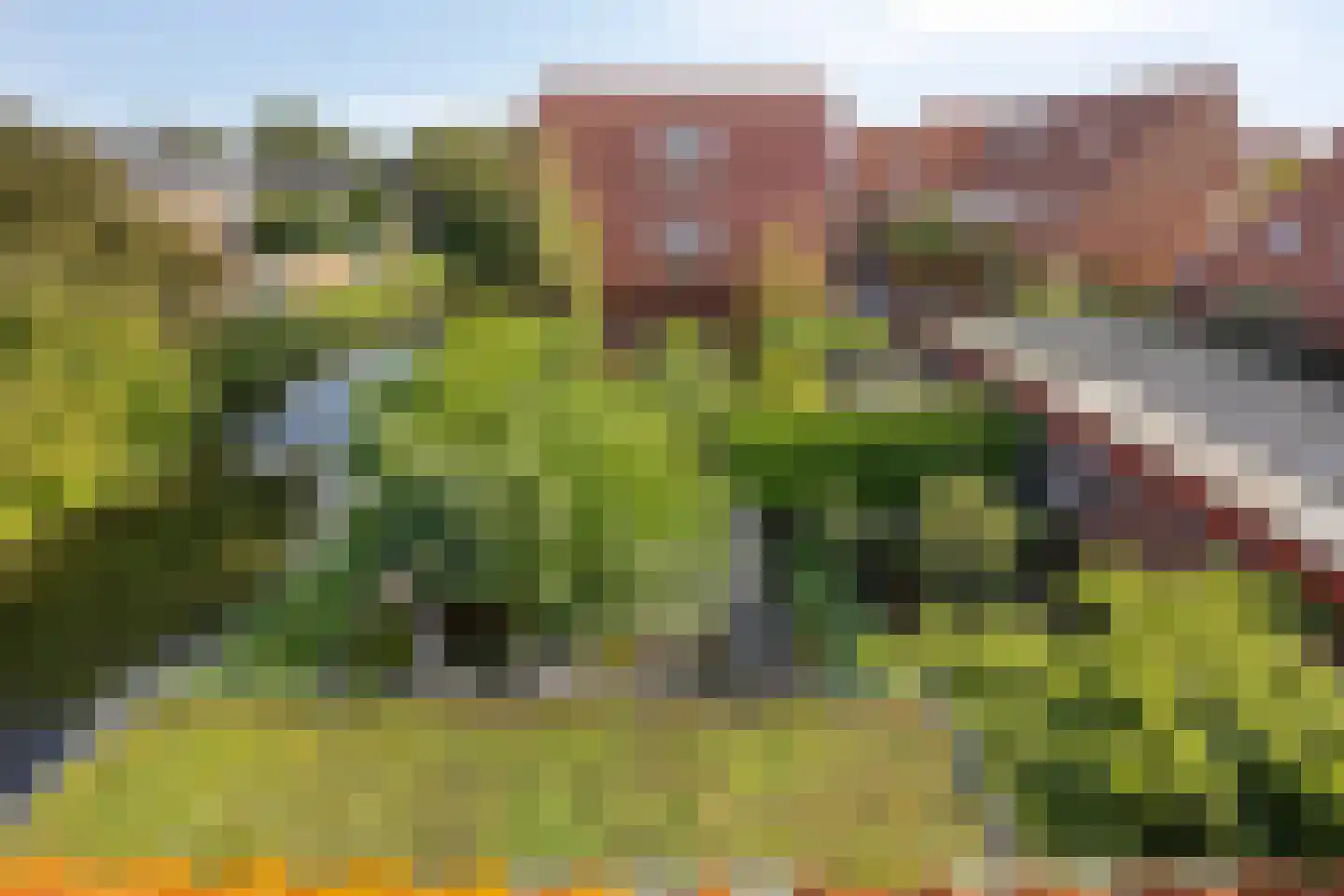Boomgaard 53 Aalsmeer thumbnail 31