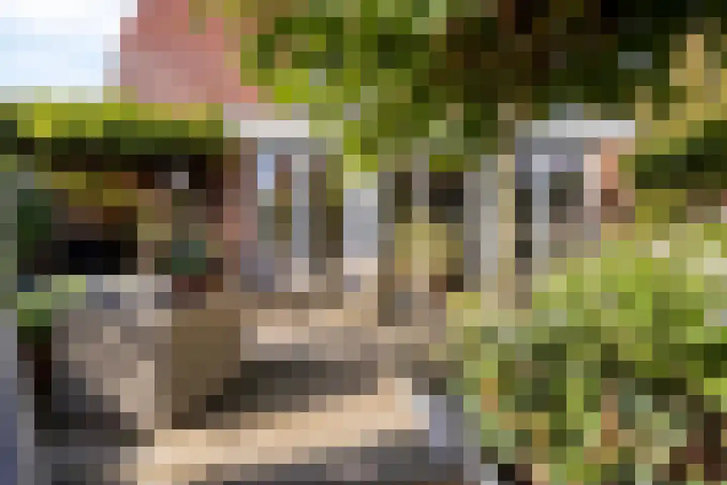 Boomgaard 53 Aalsmeer thumbnail 34