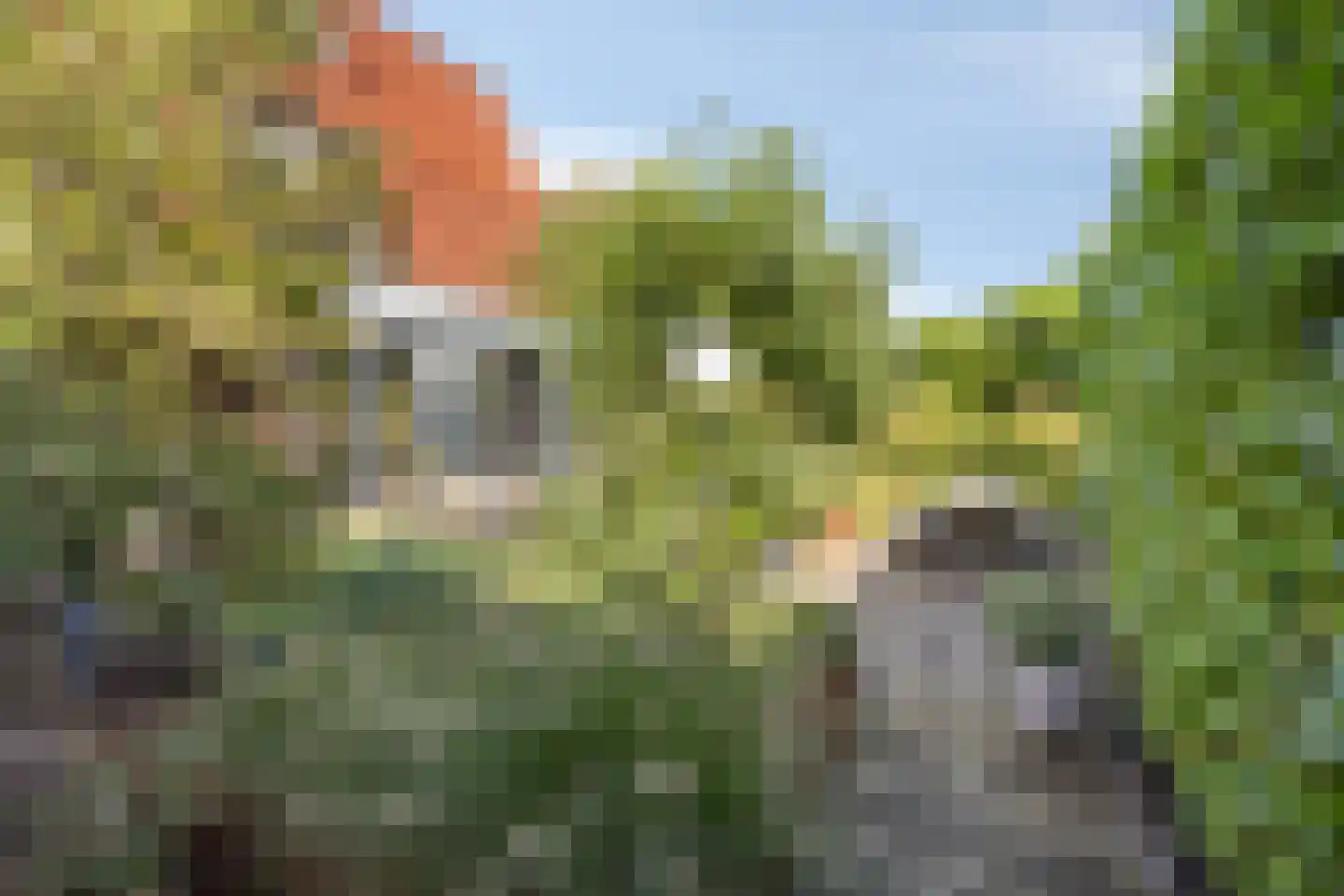 Boomgaard 53 Aalsmeer thumbnail 37
