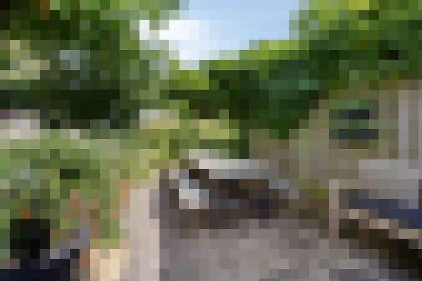 Boomgaard 53 Aalsmeer thumbnail 38