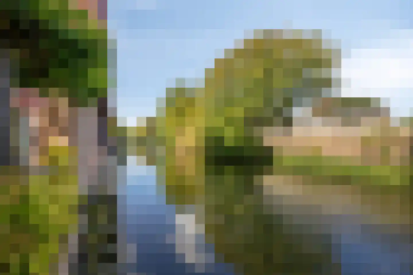 Boomgaard 53 Aalsmeer thumbnail 40